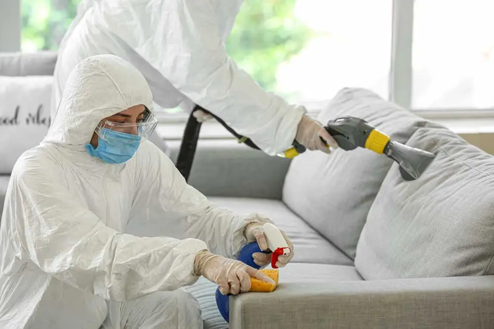 Disinfect and Extreme Cleaning